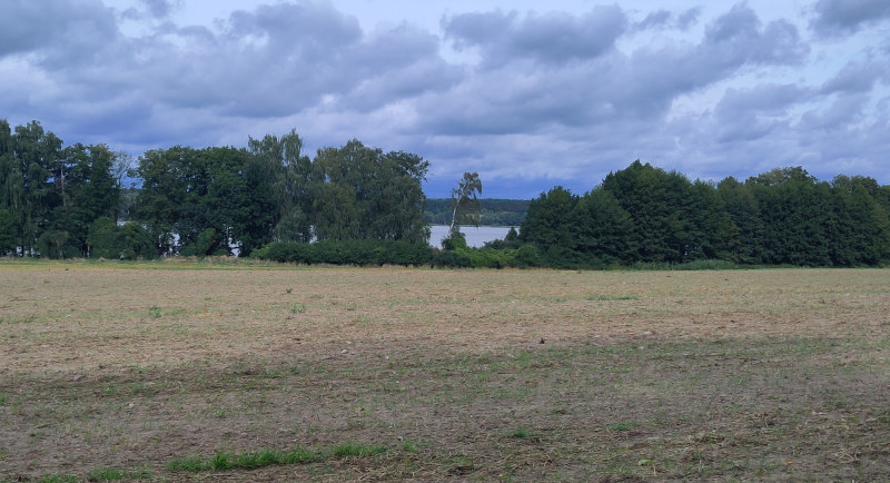 Bild der Woche