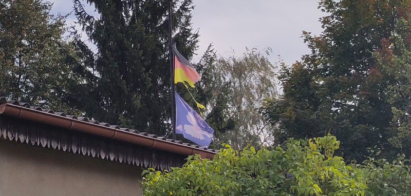 Bild der Woche